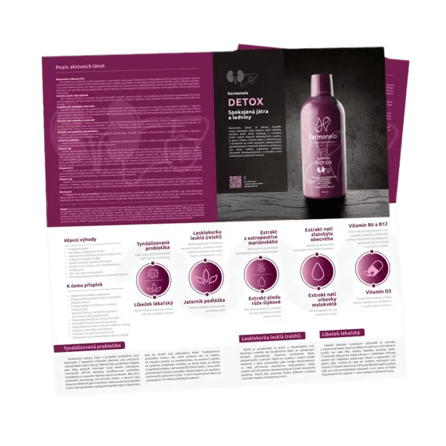 LEAFLET_10_DETOX_EN